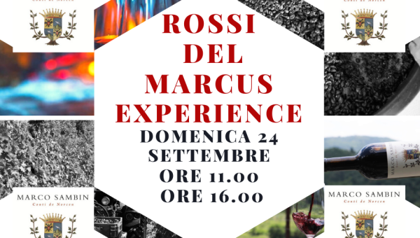 Domenica 24 settembre: Rossi del Marcus Experience